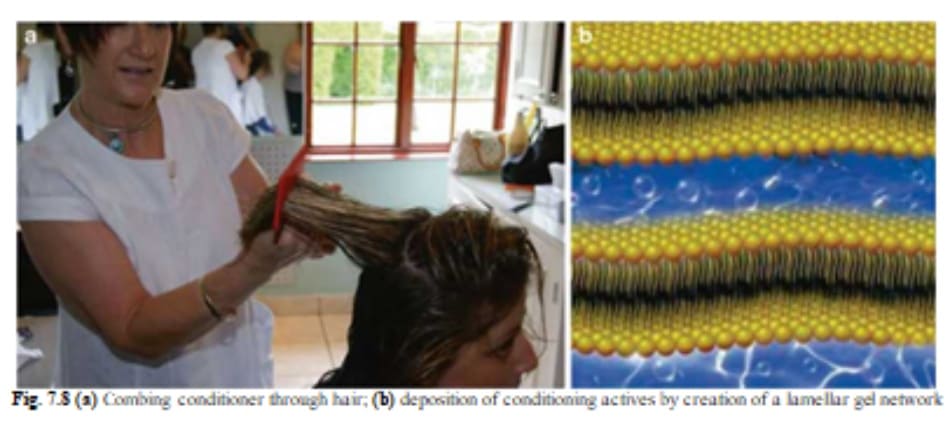 Fig. 7.8 (a) Combing conditioner through hair; (b) deposition of conditioning actives by creation of a lamellar gel network