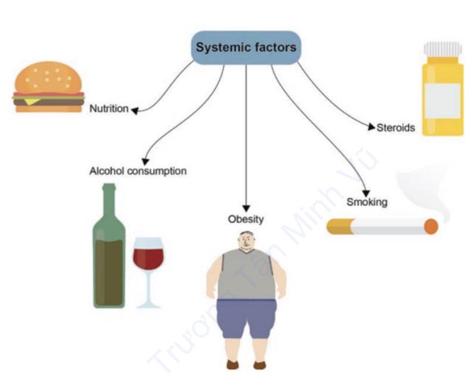 Hình 1.5 Các yếu tố toàn thân ảnh hưởng đến việc lành vết thương gồm rượu, thuốc lá và lượng steroid, cũng như tình trạng dinh dưỡng và béo phì