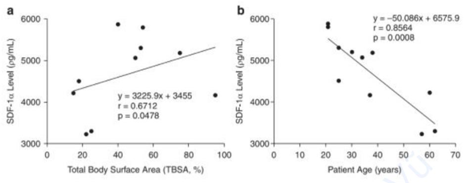 Hình 3.5 Đường truyền tín hiệu SDF-1/CXCR4 có liên quan đến sự hình thành sẹo phì đại. Ở bệnh nhân bỏng, nồng độ SDF-1 huyết thanh tỷ lệ thuận với tổng diện tích bề mặt cơ thể (TBSA) (a) và tỷ lệ nghịch với tuổi bệnh nhân (b) [36].